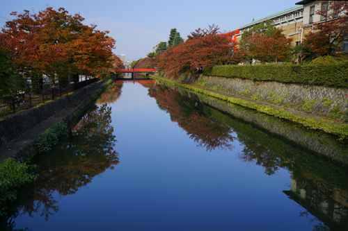 疎水の紅葉