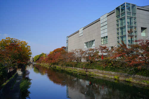 近代美術館横の紅葉