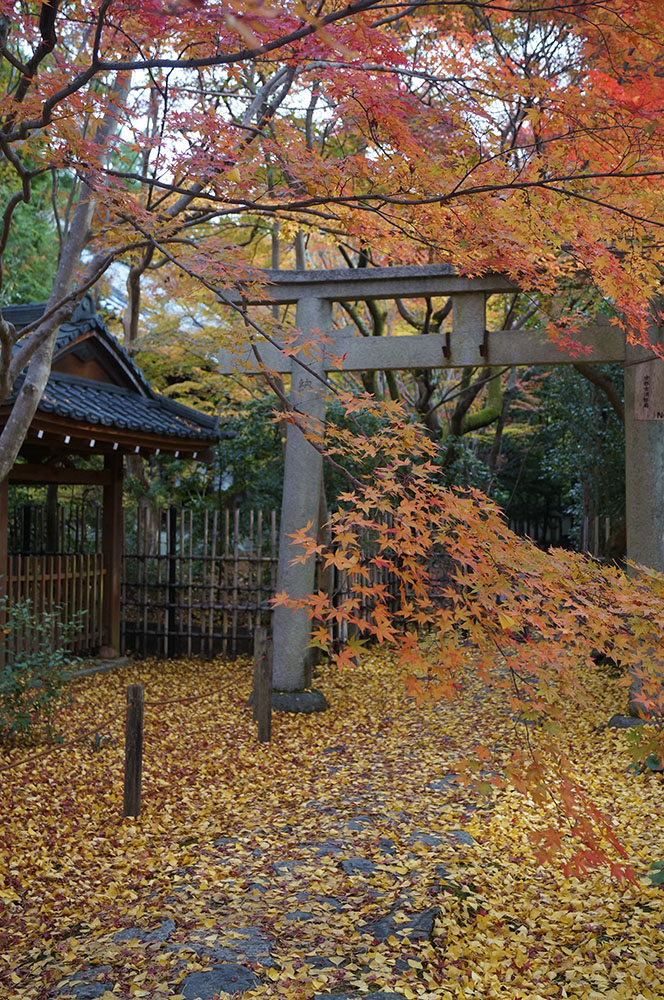 蓮華寺 入り口の鳥居