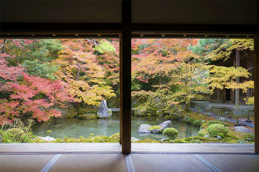 蓮華寺 紅葉する庭園 屋内から見る