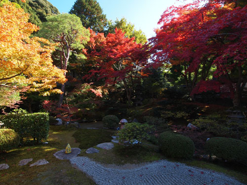 泉涌寺　御座所庭園