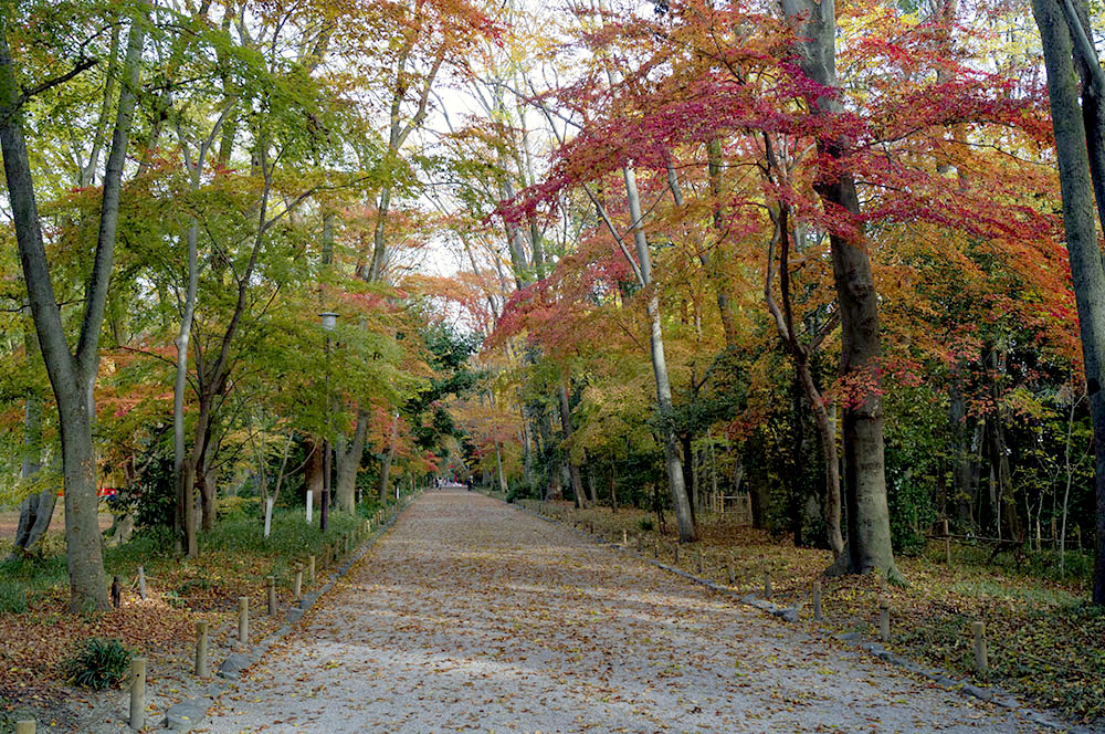 下鴨神社の紅葉