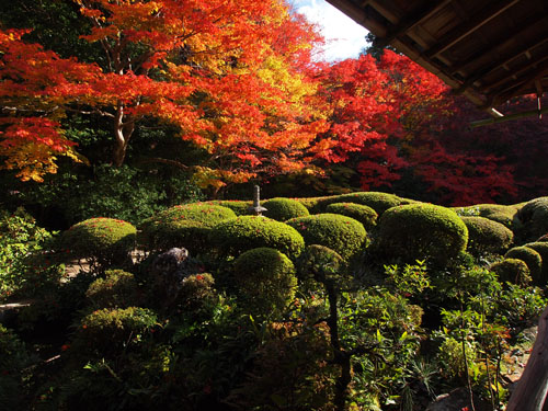 詩仙の間からの紅葉