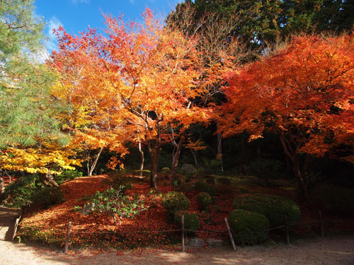 詩仙堂 庭園