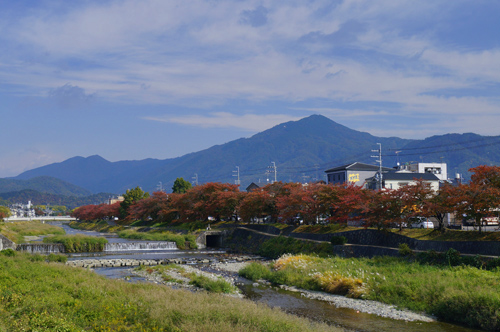 高野川の紅葉
