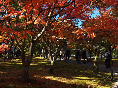 東福寺　通天橋庭園