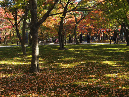 東福寺通天橋庭園