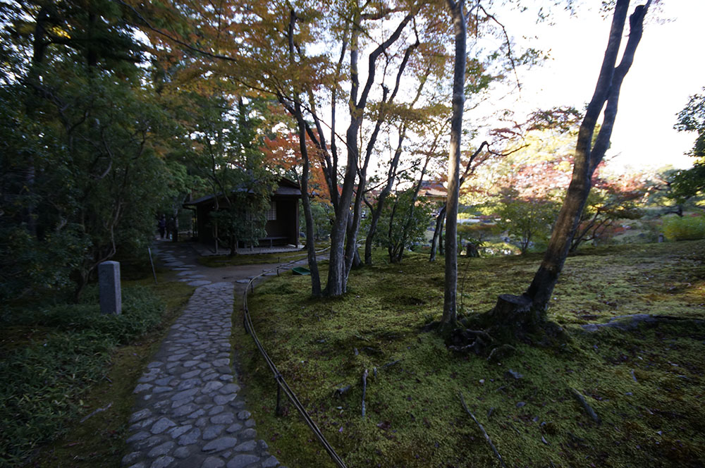 依水園 散策路