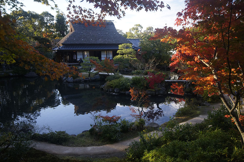 吉城園の紅葉