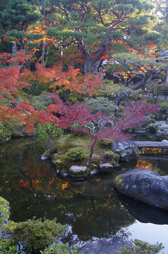 吉城園 池