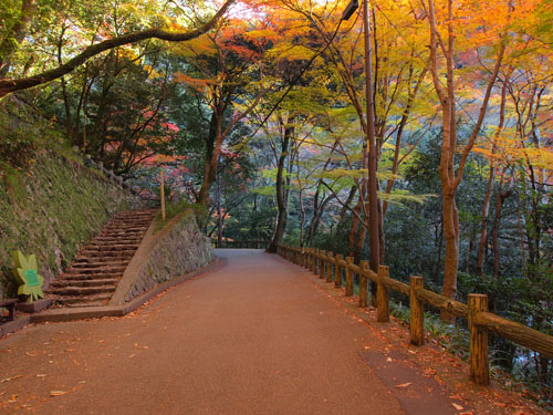 赤く照明されたような散策路