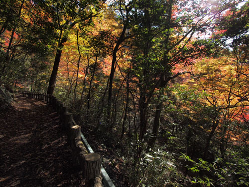 箕面公園 山手の散策路