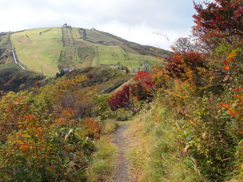 びわ湖バレイの紅葉　蓬莱山を望む