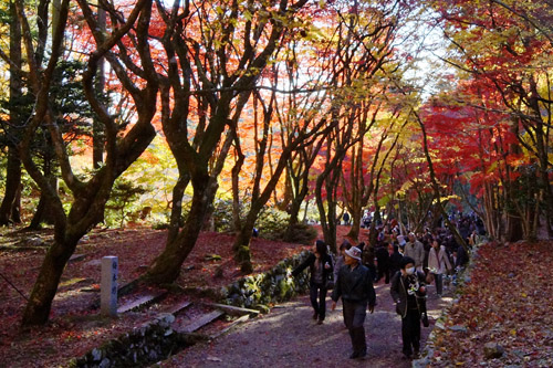 鶏足寺(旧飯福寺) の紅葉