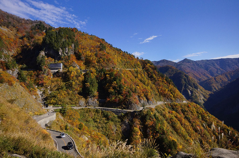 白山スーパー林道の紅葉