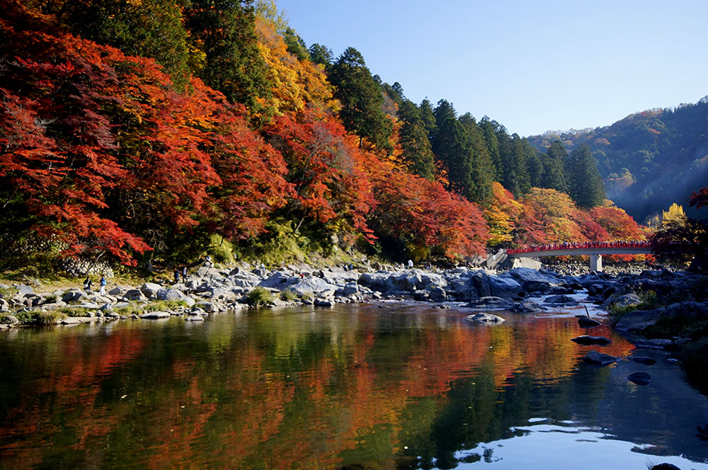 香嵐渓の紅葉