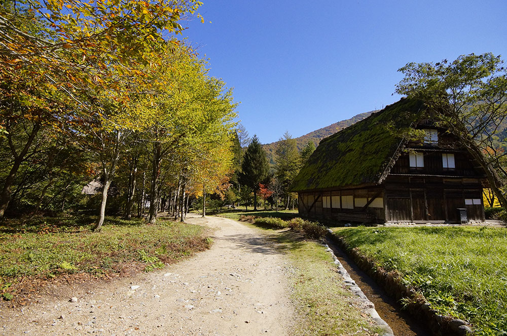 白川郷の紅葉