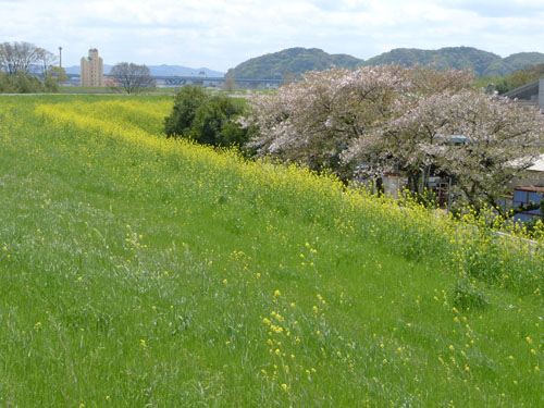 ダイハツ京都工場　北側