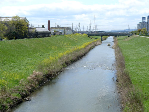 新高瀬川 遠景