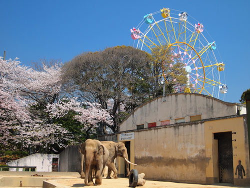 王子動物園