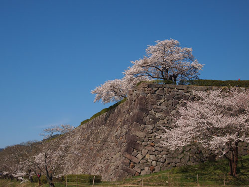 篠山城