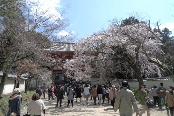 醍醐寺001