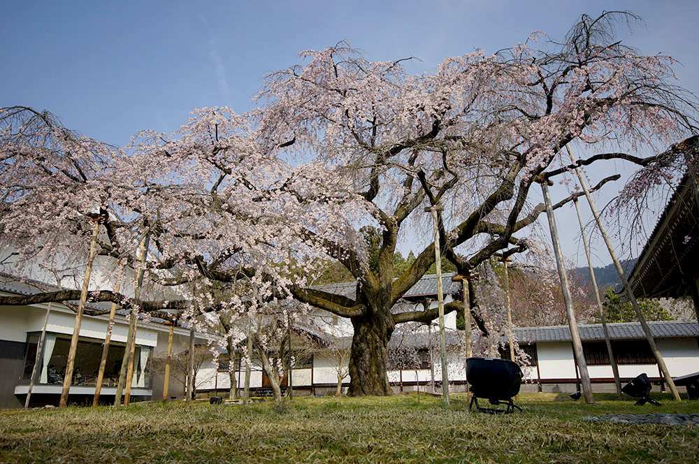 醍醐寺