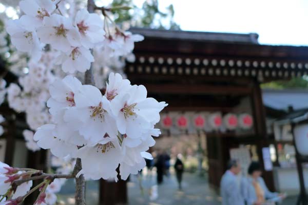 平野神社