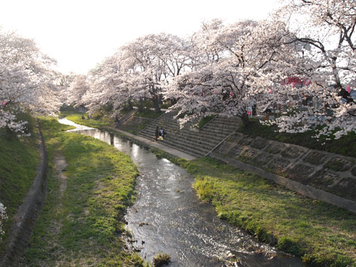 玉川堤