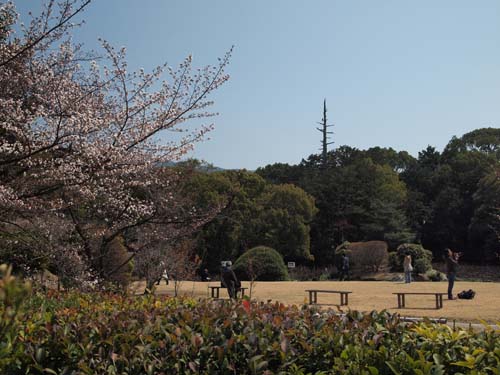 勧修寺庭園