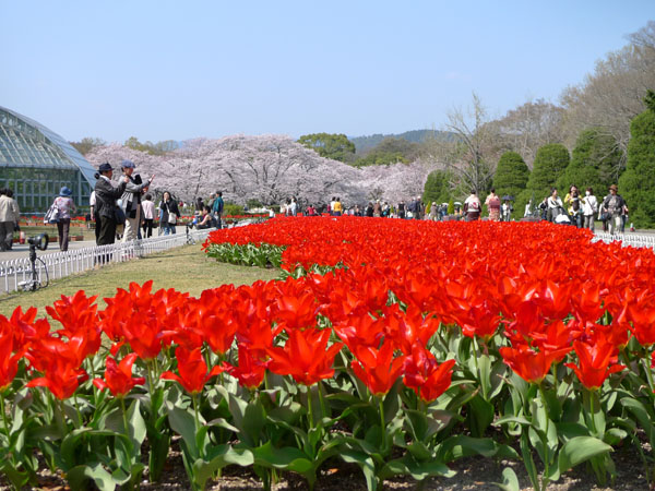 植物園001