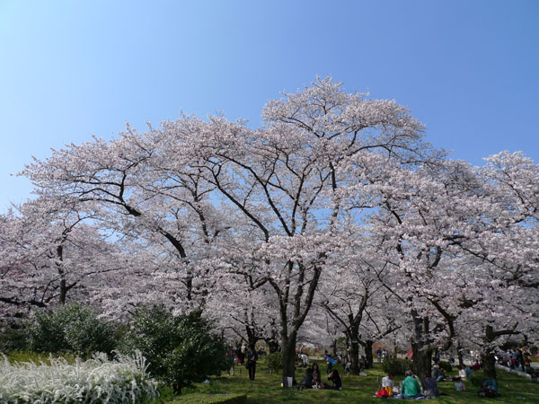 植物園００２