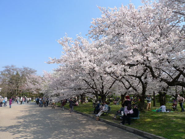 京都府立植物園