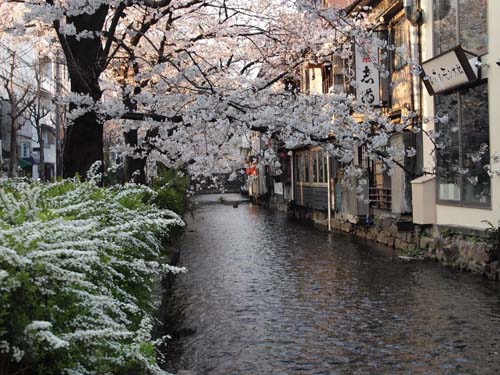 四条　北側の高瀬川