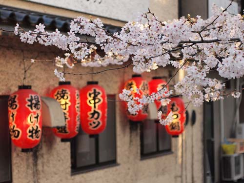 高瀬川沿いの桜