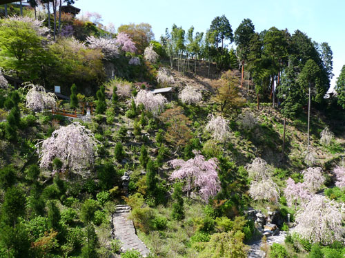 善峯寺