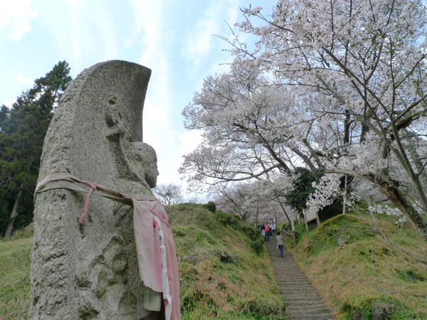 仏隆寺千年桜