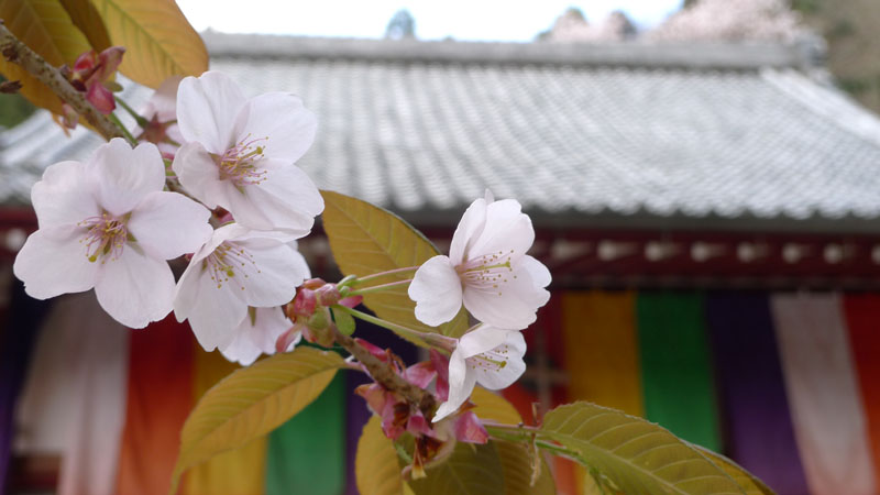 仏隆寺