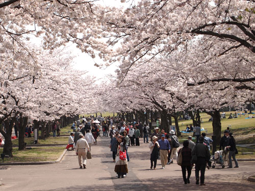 万博公園　東大路