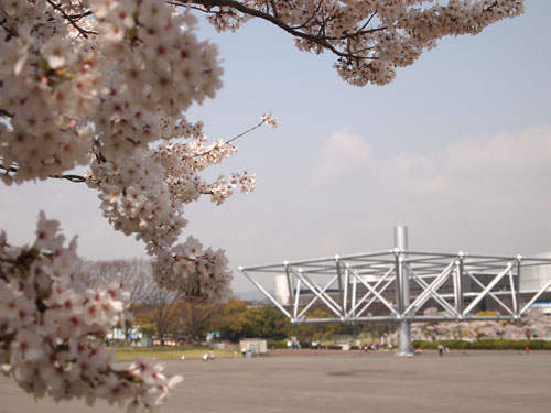 万博公園　イベント広場