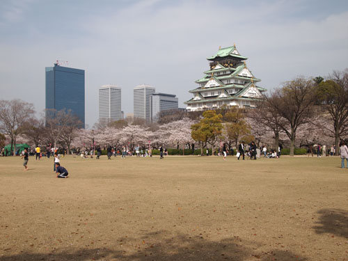 西の丸庭園 芝生