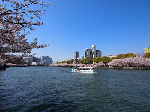 大川を走る水陸両用バス