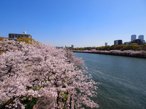 桜之宮公園