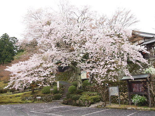 百済寺