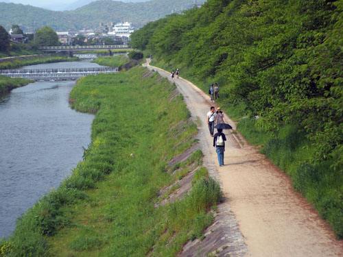 高野川の土手