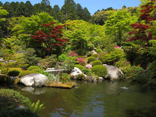 三室戸寺　庭