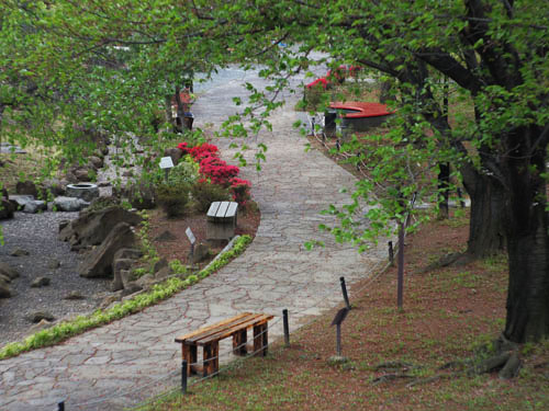 勝龍寺城 城内の庭園