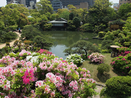 相楽園の躑躅