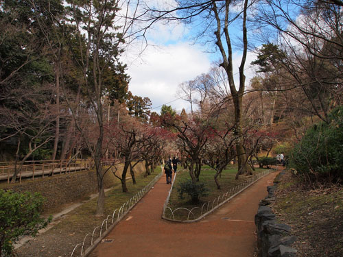 お土居　梅苑