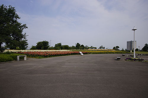 ゆりの里公園 ユリーム春江 遠景